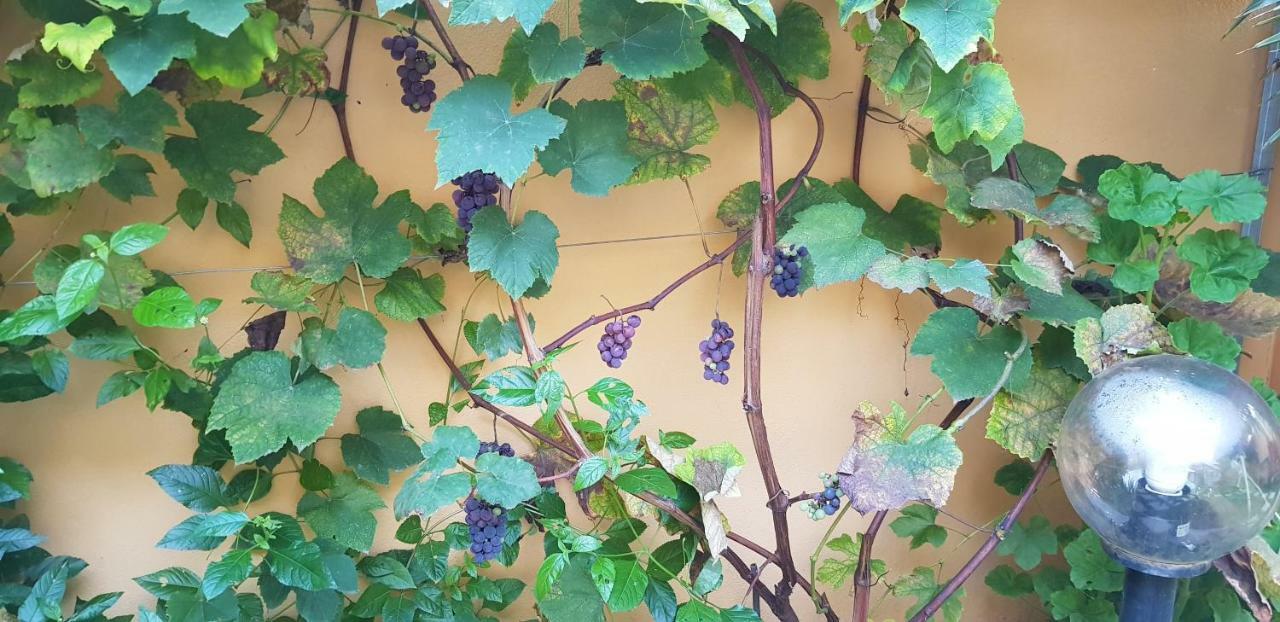 Casa Vacanze Rose E Fiori Sardegna San Vito  Exterior foto